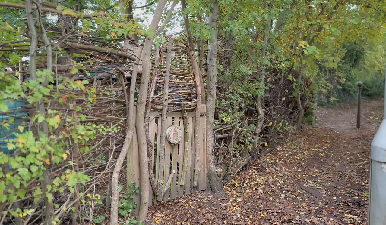 Video of the Secret Garden Space